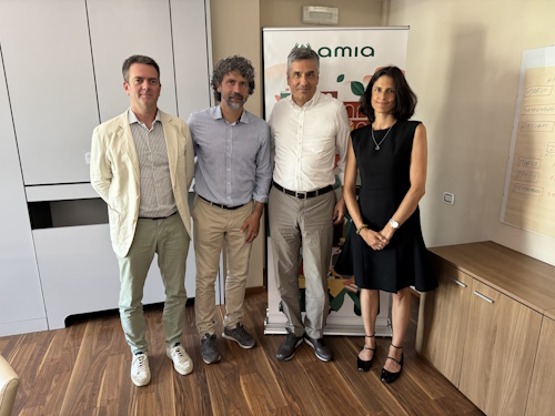 Bilancio 2025