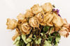Fiori secchi