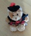 Peluche